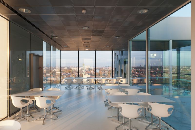 042 Coovi 20111102parthesius700 4166