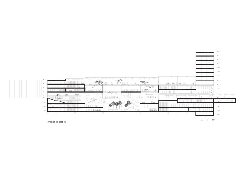 188 Museum For Natural History And Basel Archives Basel Section Longitudinal 1250
