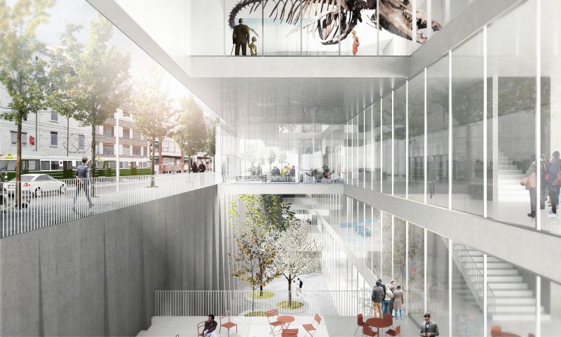 188 Museum For Natural History And Basel Archives Basel Void