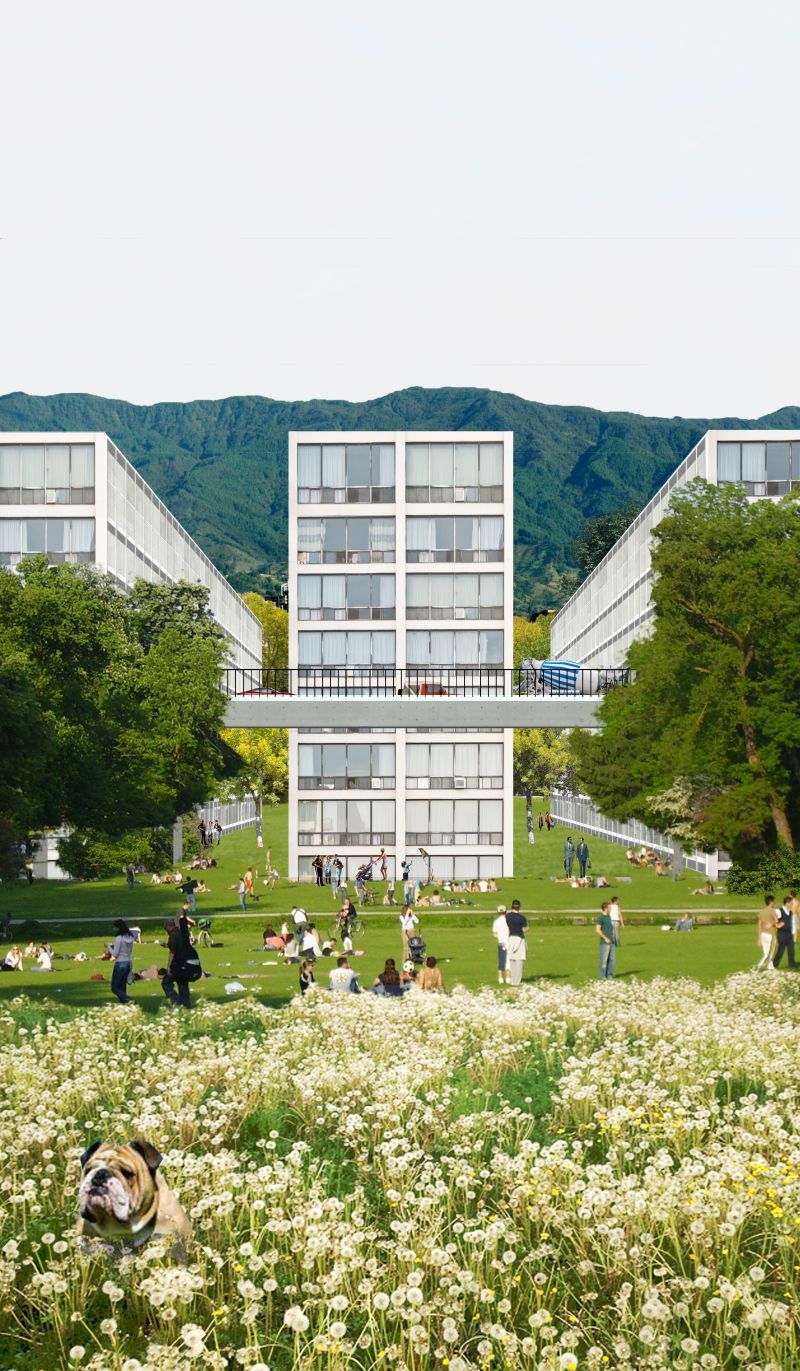 178 Rio Medellin Collage Office