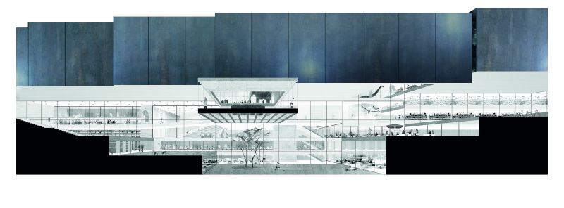 188 Museum For Natural History And Basel Archives Basel Entry