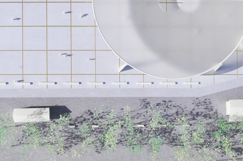 197 Zand Bruges Imq 02