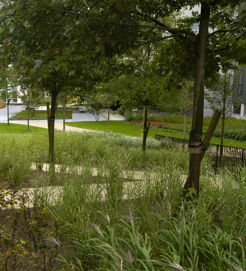 008 Ilot Saint Maurice Lille Chans Werlemann Dsc 9872