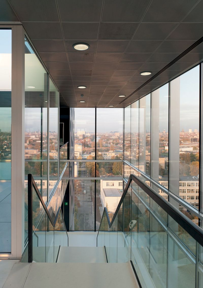 042 Coovi 20111102parthesius700 4173