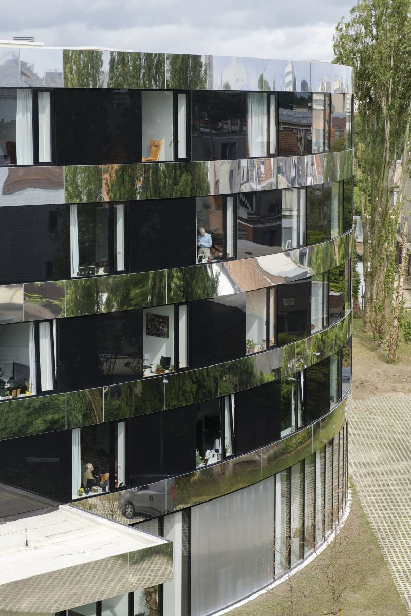 143 Gza 01 Dsf4837 Fransparthesius