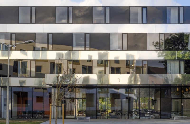 143 Gza 03 Dsf4757 Fransparthesius